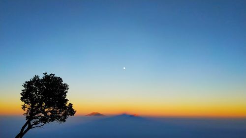 Silhouette tree against sky during sunset