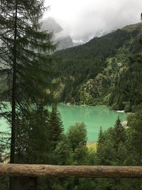 Scenic view of lake by trees against sky