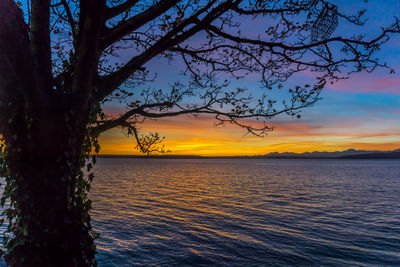 Scenic view of sea against orange sky