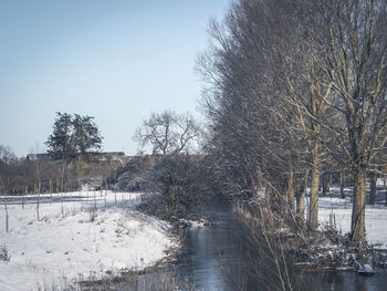 Bare trees by river against clear sky during winter