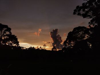 Silhouette trees against sky at night