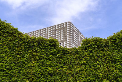 House on field against sky