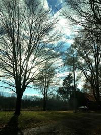 Close-up of silhouette trees against sky