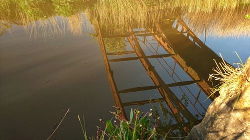 Reflection of grass in lake