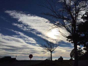 Bare trees on road at sunset