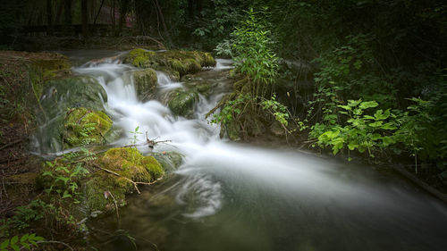 Scenic view of waterfall in forest