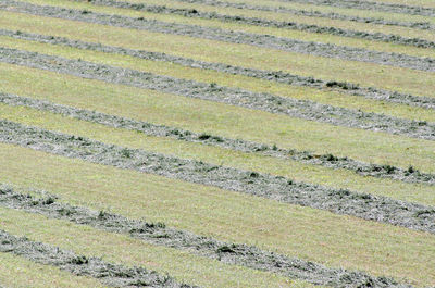 Full frame shot of field