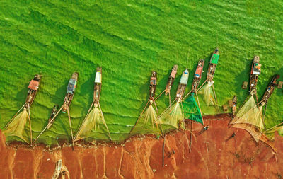 High angle view of plants growing on field