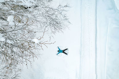 Low angle view of bird flying against sky