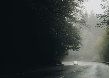 Road amidst trees in city during foggy weather