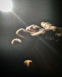 Sunlight falling on hand