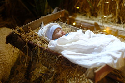 Baby in the manger at christmas