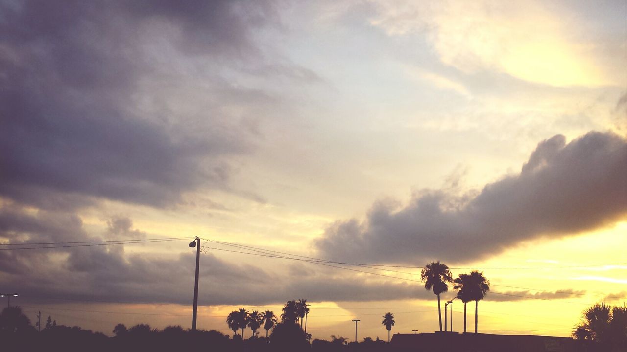 sunset, silhouette, sky, tree, tranquility, cloud - sky, beauty in nature, scenics, tranquil scene, low angle view, palm tree, nature, cloudy, orange color, cloud, power line, idyllic, growth, dusk, electricity pylon