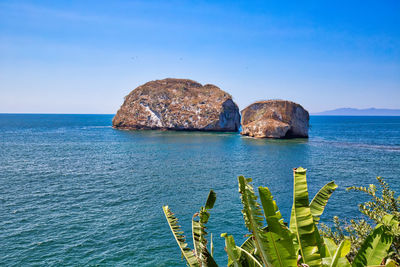 Scenic view of rocks in sea against clear blue sky