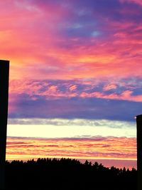 Low angle view of silhouette trees against sky during sunset