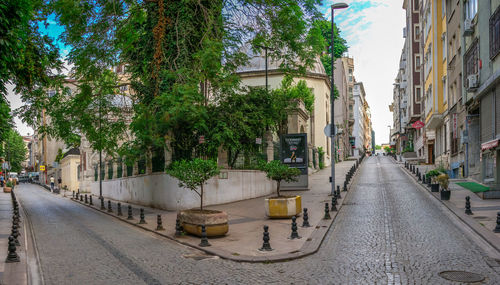 Empty road amidst trees and buildings in city