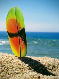 Close-up of pebbles on beach
