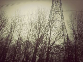 Bare trees against sky