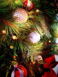 Woman sitting on tree trunk