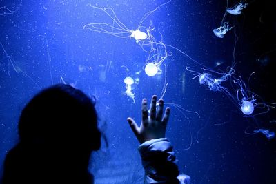 Rear view of girl touching jellyfishes swimming in aquarium