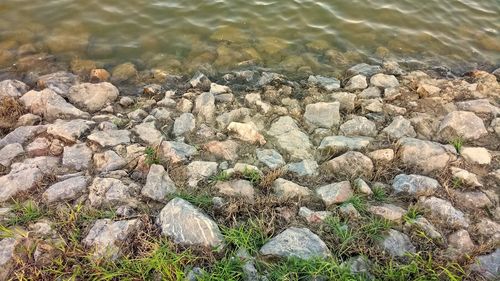 High angle view of pebbles on beach