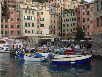 Il porticciolo di camogli