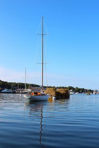 Sailboats moored in sea against clear blue sky