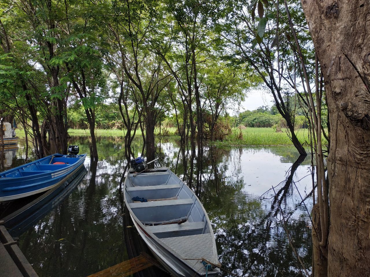 SCENIC VIEW OF LAKE