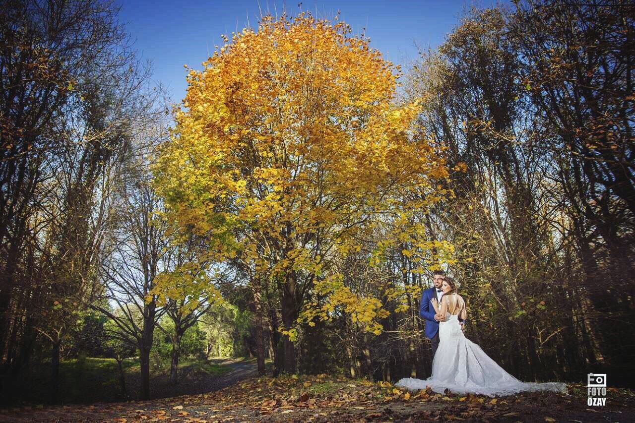 tree, human representation, statue, art, art and craft, sculpture, growth, creativity, clear sky, park - man made space, nature, spirituality, sunlight, autumn, tranquility, standing, religion