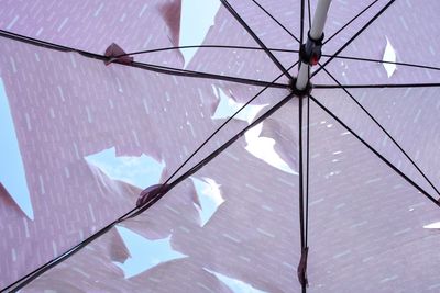 Low angle view of broken umbrella on wet glass