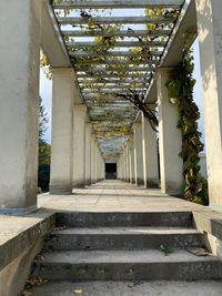 Corridor of building