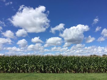 Scenic view of field against cloudy sky