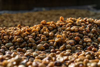 Close-up of coffee beans on table