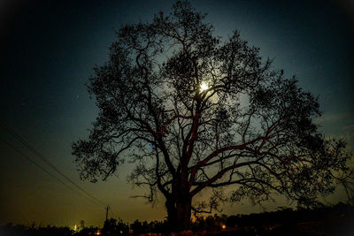 Low angle view of silhouette tree against sky during sunset