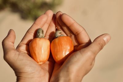 Close-up of hand holding orange