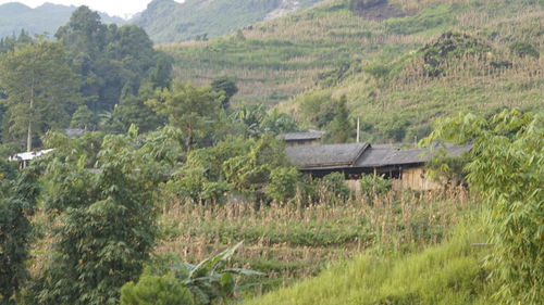 House on field by trees and mountains