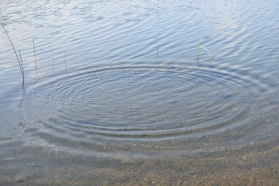 Full frame shot of rippled lake