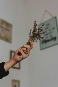 Close-up of hand holding plant against wall