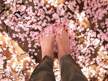 Low section of woman standing on pink flowers