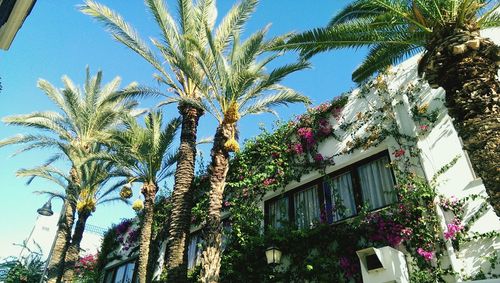 Low angle view of building
