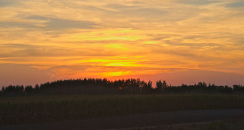 Scenic view of field against orange sky