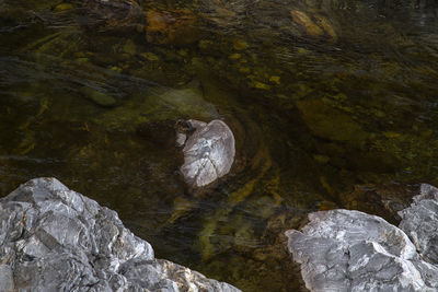 High angle view of stream amidst rocks
