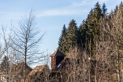 Bare trees and house against sky