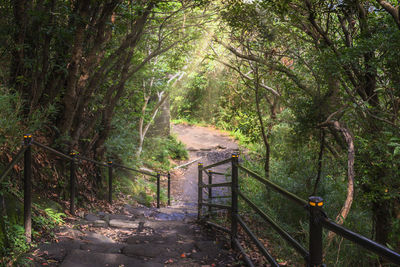 Hiking path of stone quarry of mount nokogiri leading to the cliffs jigoku nozoki.