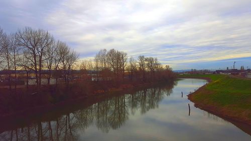 Reflection of trees in lake