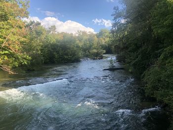 River flowing amidst trees in forest against sky
