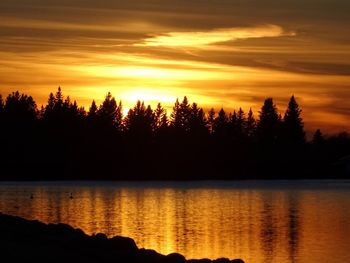 Silhouette of trees at sunset