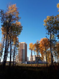Low angle view of trees and buildings against blue sky