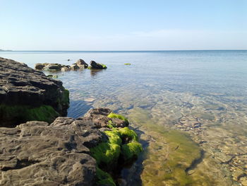 Rocks on beach against clear sky