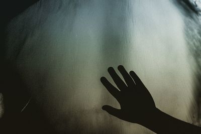 Close-up of silhouette person touching hand